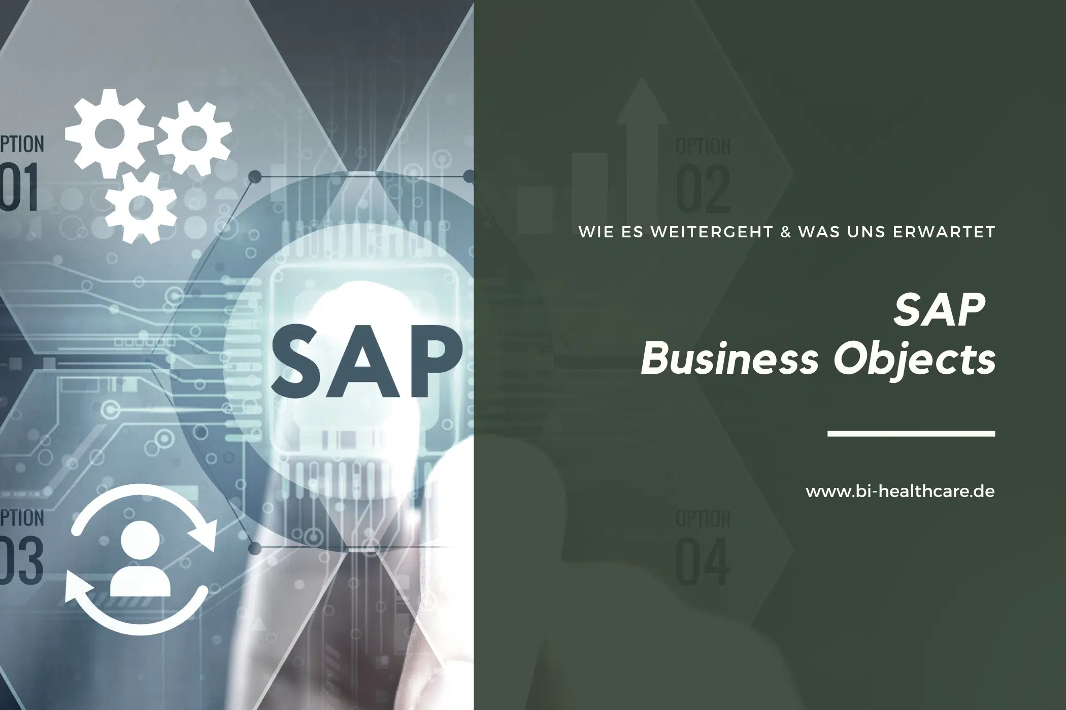 SAP Business Objects 2023