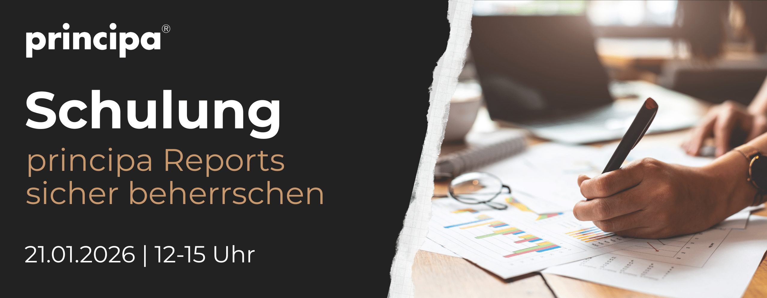 Schulung principa Reports sicher beherrschen