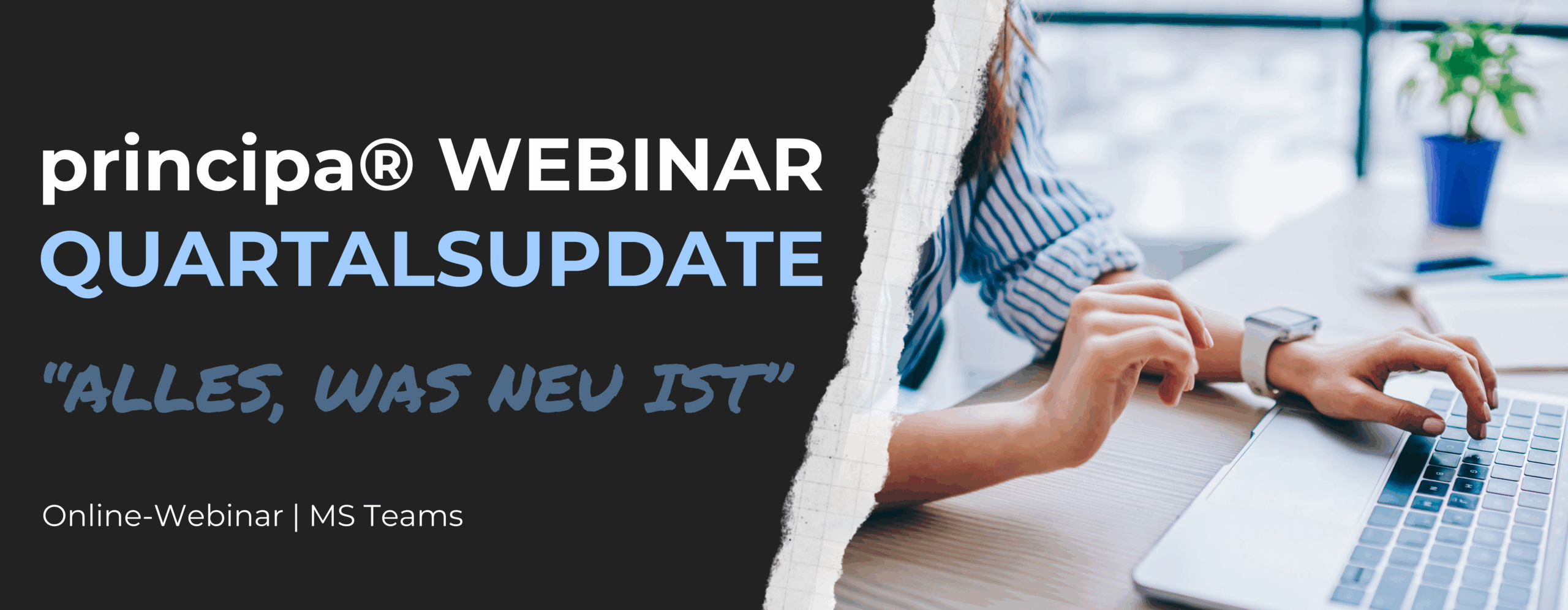 Principa Quartalsupdate Webinar
