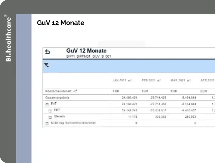 bi-healthcare-finanzcontrolling-GuV-12-Monate.webp