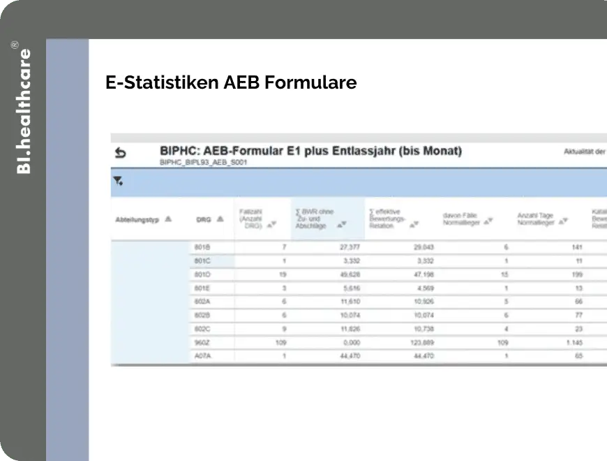 Bi healthcare leistungscontrolling E Statistiken AEB Formulare Modul Leistungen Krankenhaus